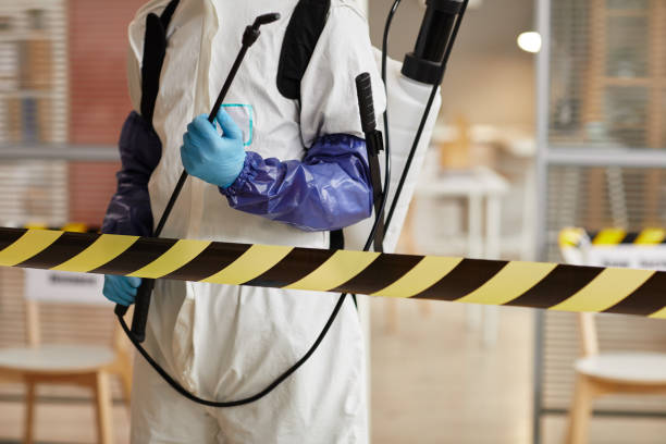 Professional Blood Cleanup technician working in Ivanhoe, CA